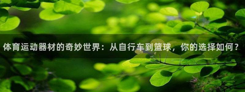 体育运动器材的奇妙世界：从自行车到篮球，你的选择如何？