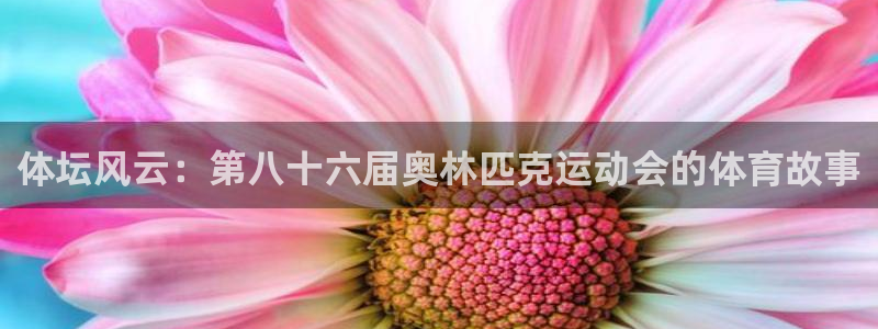体坛风云：第八十六届奥林匹克运动会的体育故事