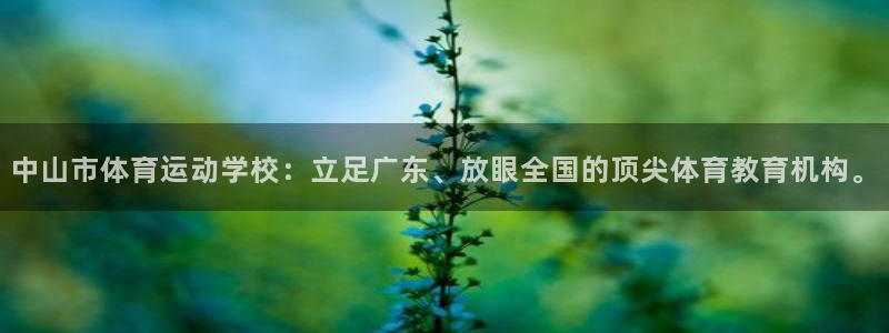中山市体育运动学校：立足广东、放眼全国的顶尖体育教育机构。