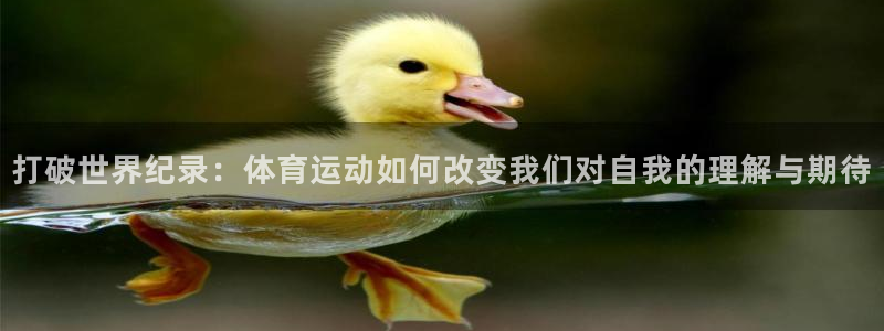打破世界纪录：体育运动如何改变我们对自我的理解与期待