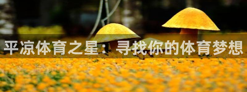 平凉体育之星：寻找你的体育梦想