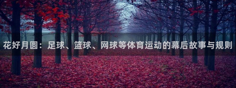 花好月圆：足球、篮球、网球等体育运动的幕后故事与规则
